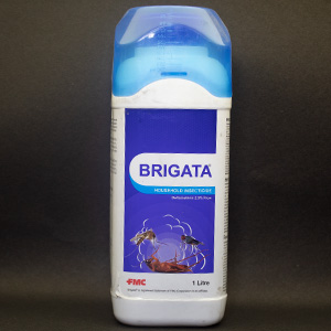 Brigata For Mosquitoes
